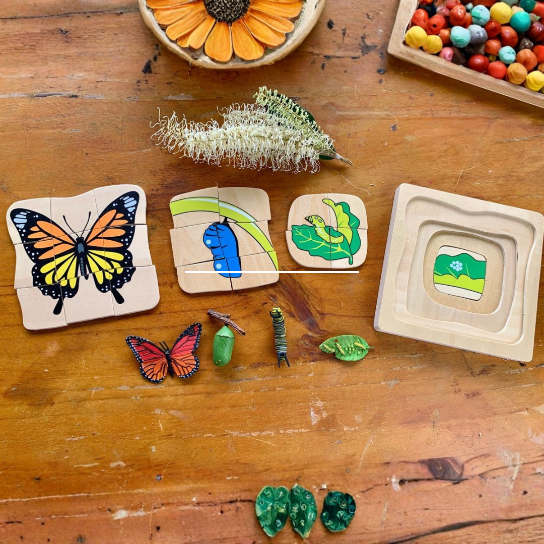 Montessori Multilayered Butterfly Lifecycle Puzzle - HAPPY GUMNUT