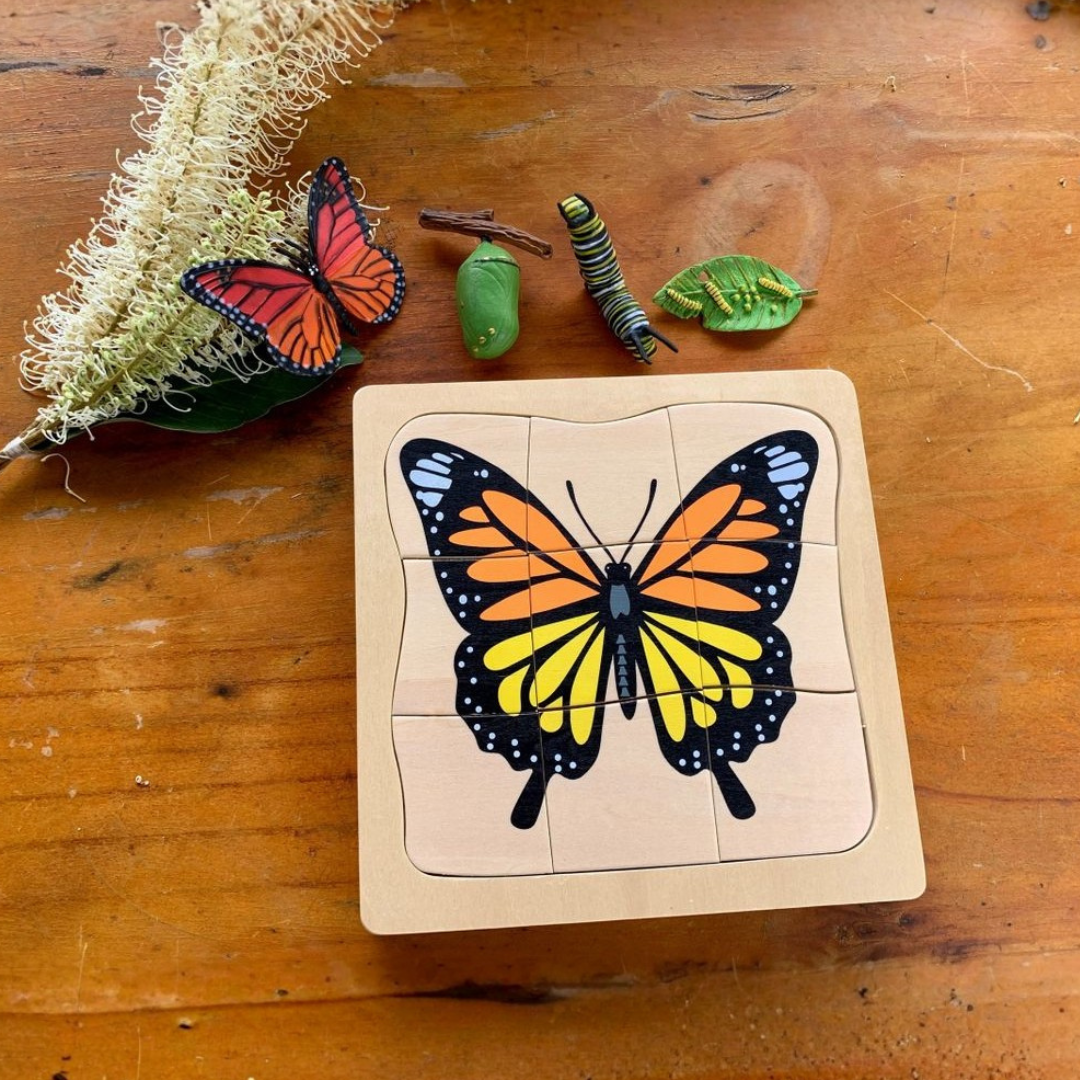 Montessori Multilayered Butterfly Lifecycle Puzzle - HAPPY GUMNUT