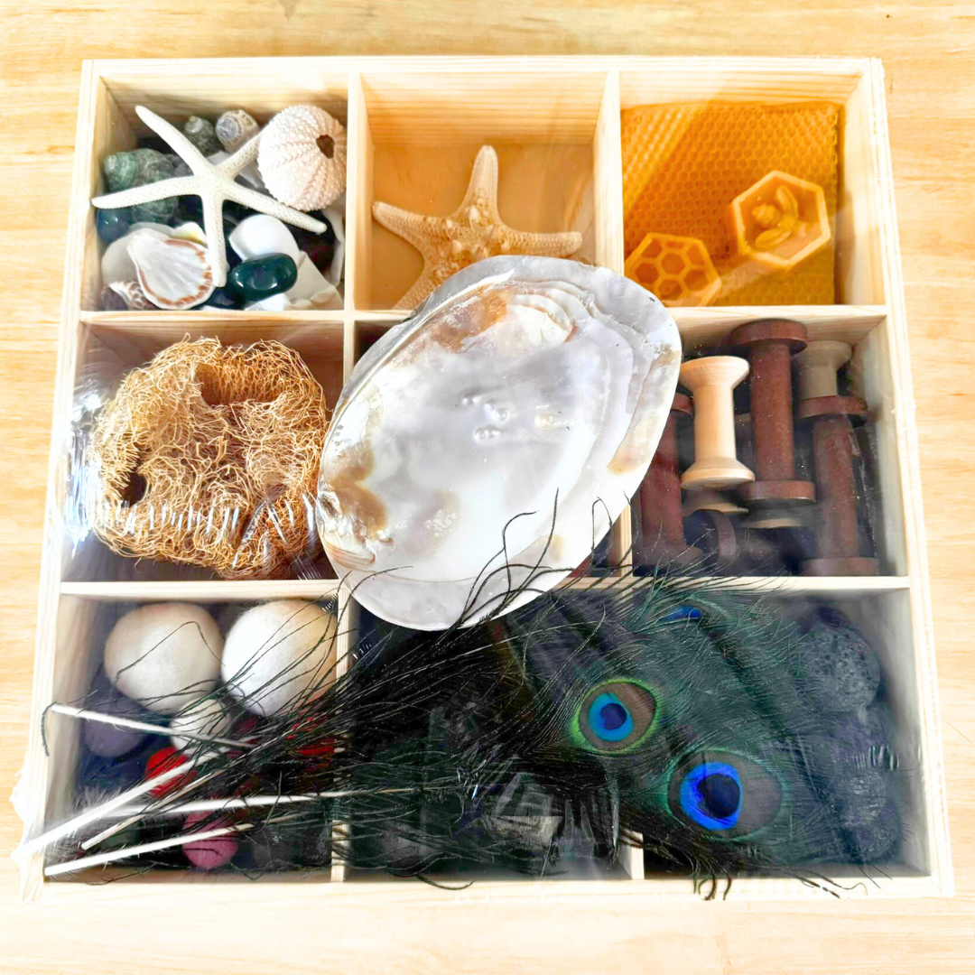 110pcs Kids Wooden Natural Loose Part Play Kit with 9 Compartment Tinker Tray - HAPPY GUMNUT