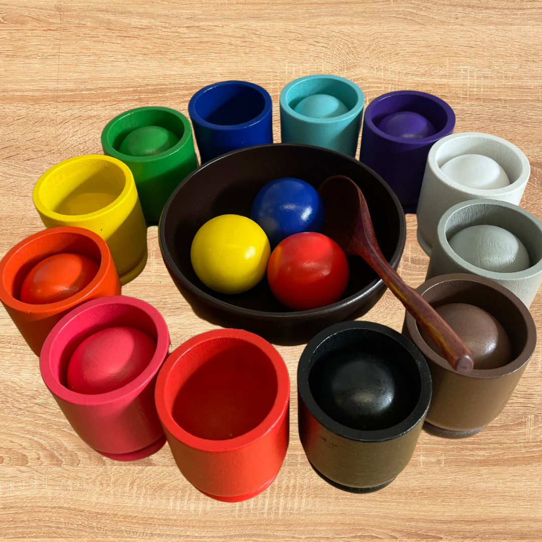 Deluxe Montessori Inspired Balls Transfer Scooping Colour Sorter Cups and Balls and bowl Set