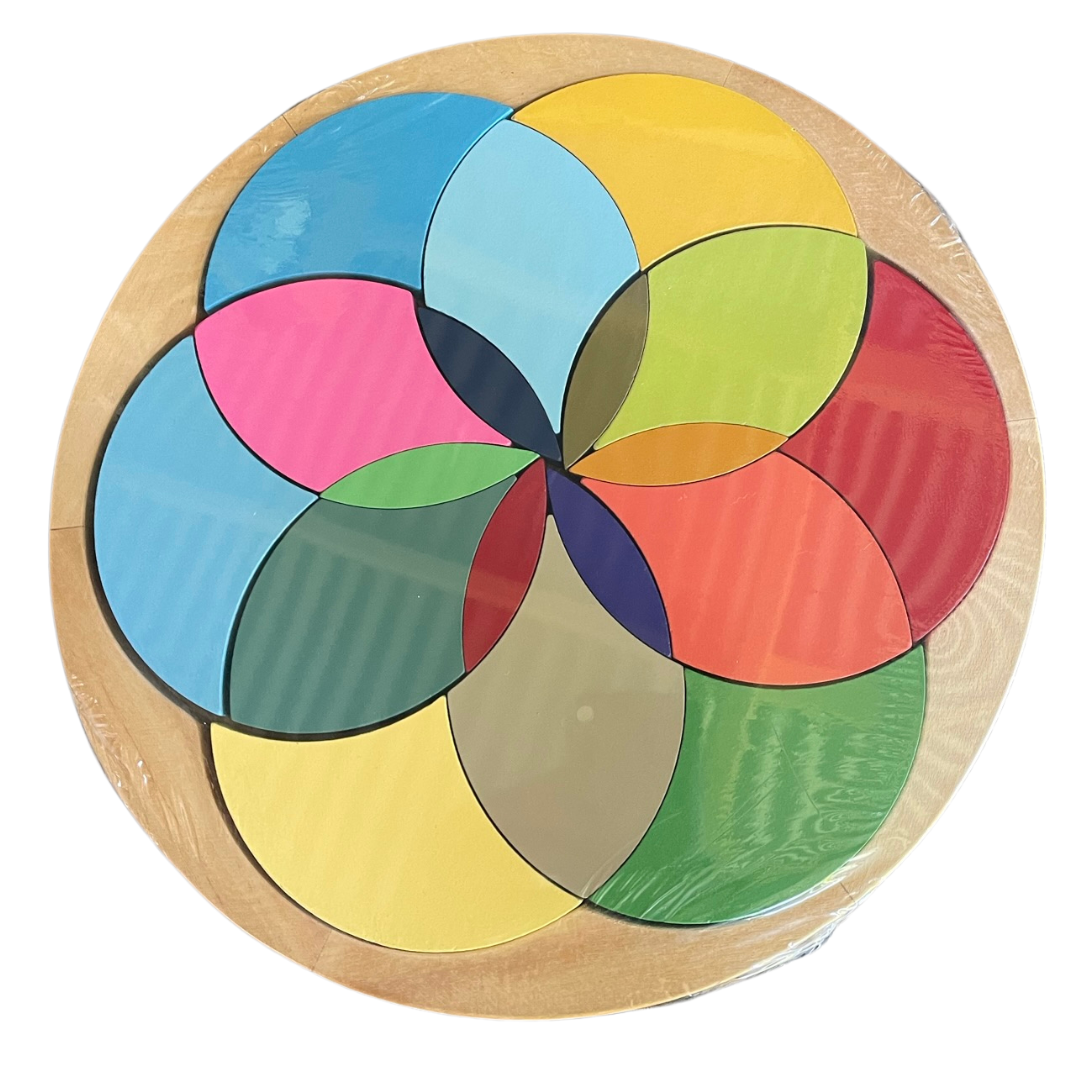 Montessori Deluxe Primary Colours Wheel Learning Board Puzzle