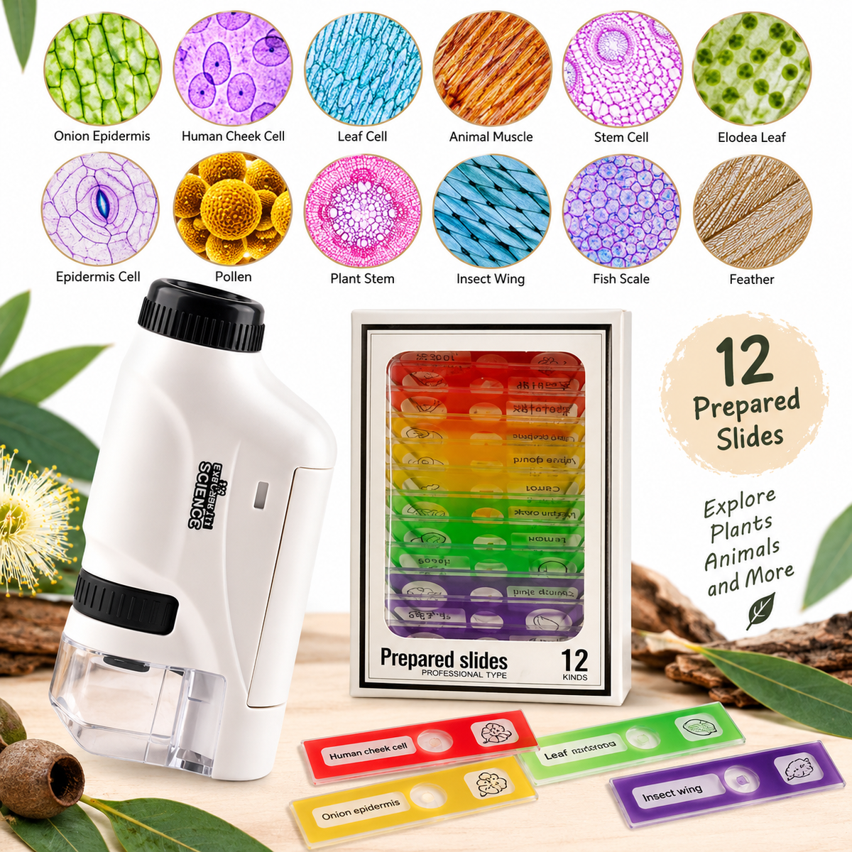 Kids children nature explorer handy electric Microscope - HAPPY GUMNUT