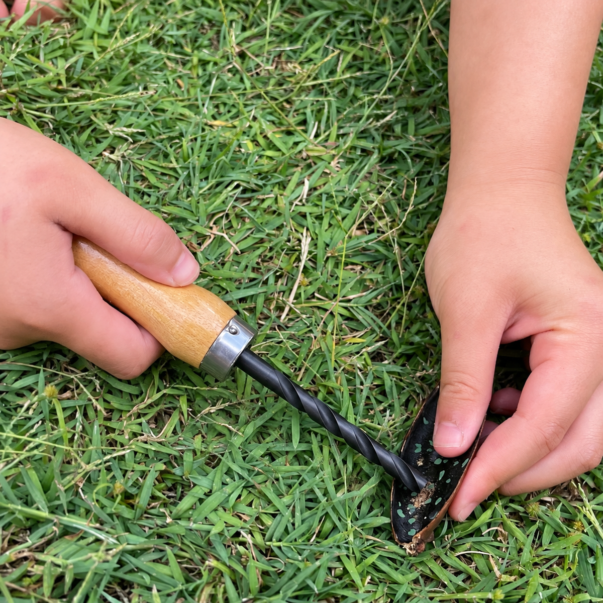Kids Children Palm Hand Drill Real Tool for Natural Forest School Play - HAPPY GUMNUT
