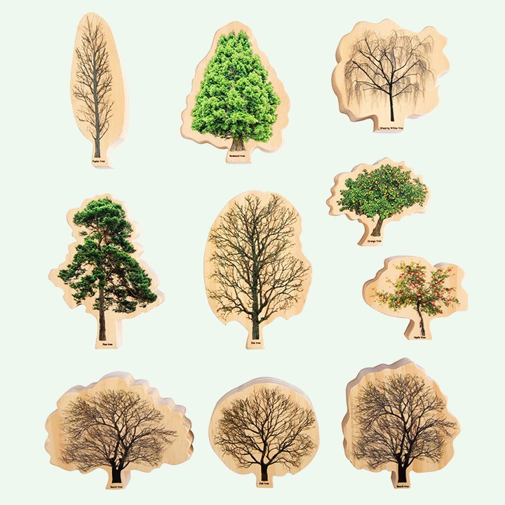Freckled Frogs 10 Pcs Wooden Tree and Seasons Double-Sided Kids Educational Blocks Set - HAPPY GUMNUT