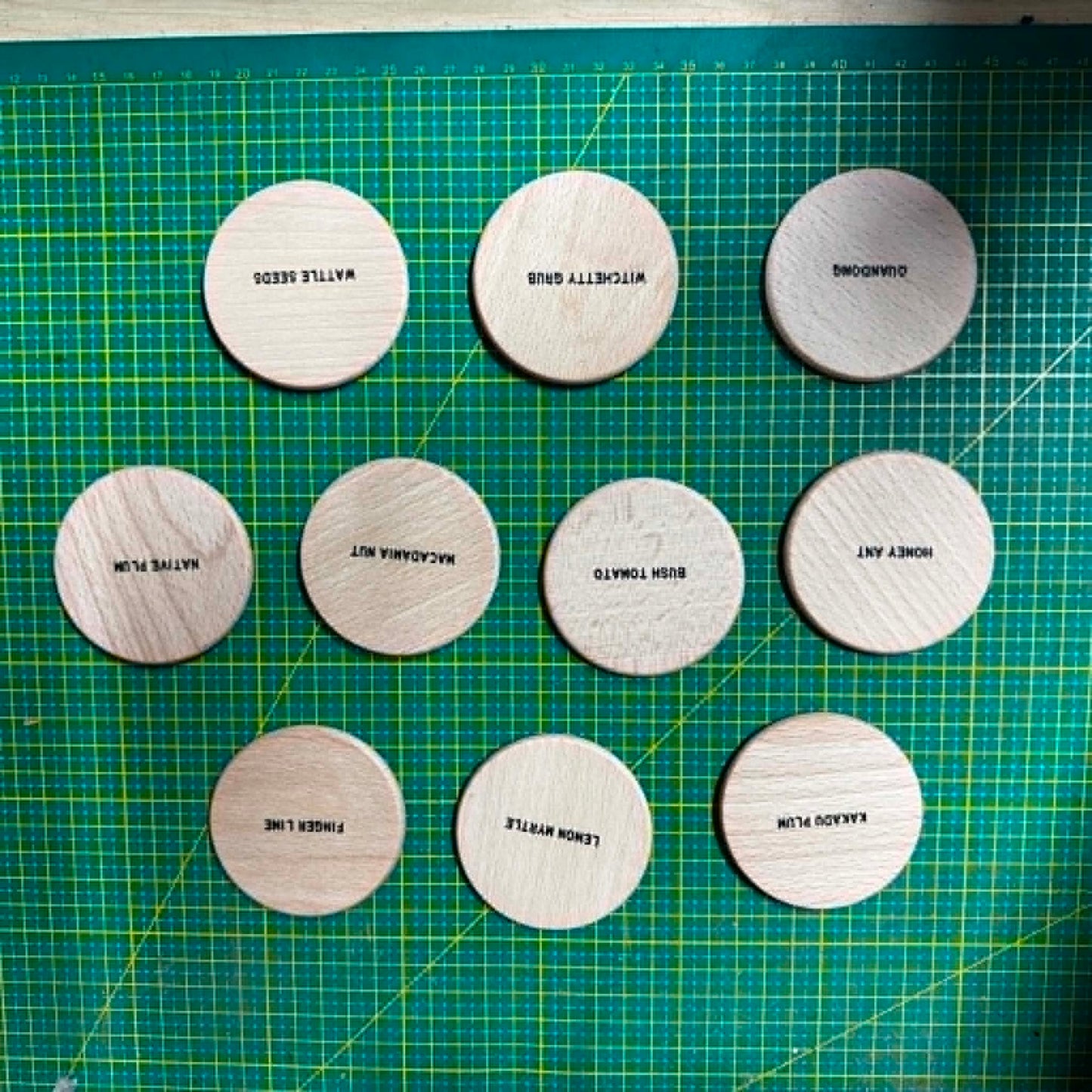 Australian Aboriginal NAIDOC Week Bush Tucker Food Wooden Learning Discs