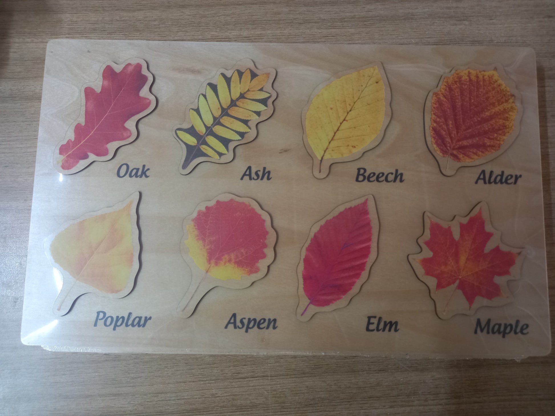 Wooden Leaf and Leaves Learning Puzzle - HAPPY GUMNUT