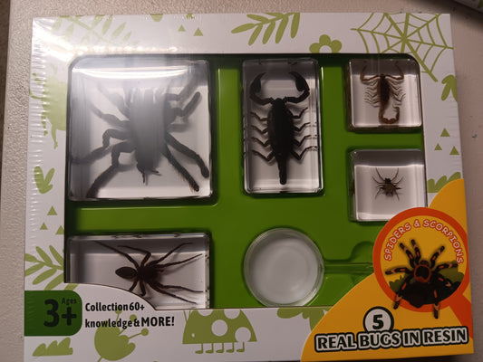 Animals Insect Resin Epoxy Specimens 5 resins Tarantula Spiders and Scorpions GIFT pack With Guide Book with Magnifying Glass