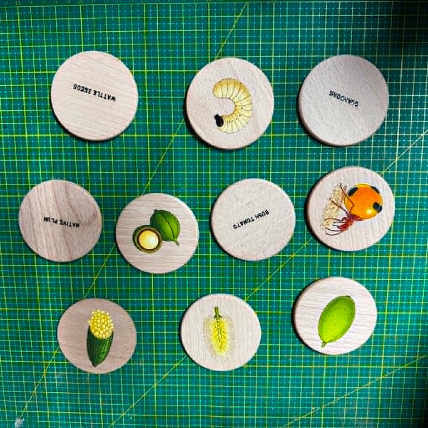 Australian Aboriginal NAIDOC Week Bush Tucker Food Wooden Learning Discs