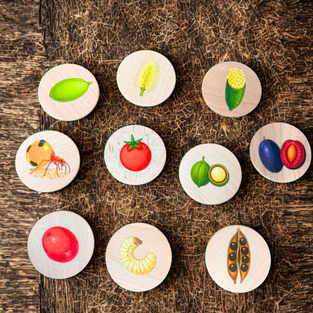10 Pcs Australian Aboriginal NAIDOC Week Bush Tucker Food Wooden Learning Discs Childcare Materials - HAPPY GUMNUT