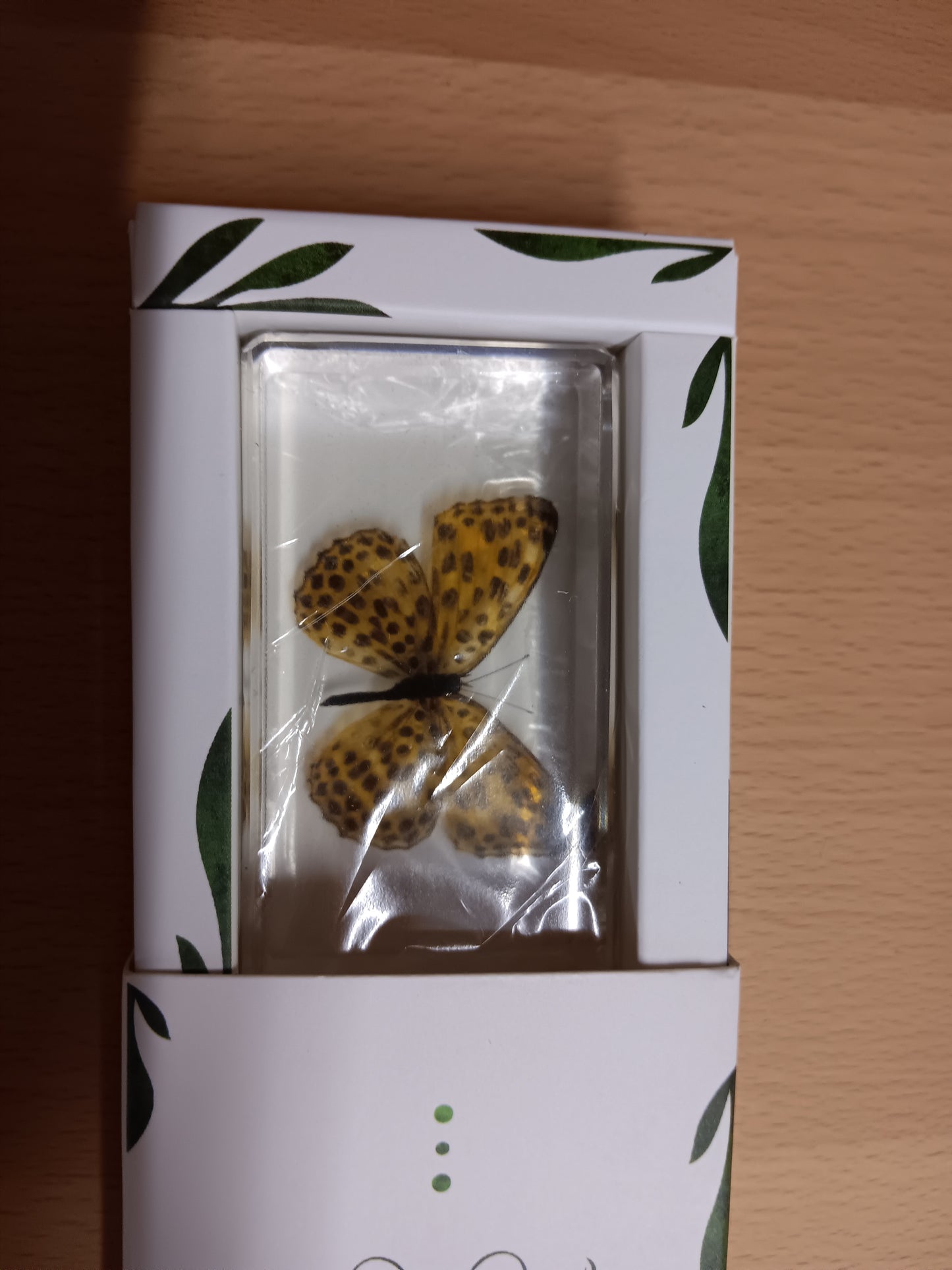 Flying Resin Epoxy Animals Insect Specimens For Children Real Animals! Montessori Kids Educational Materials