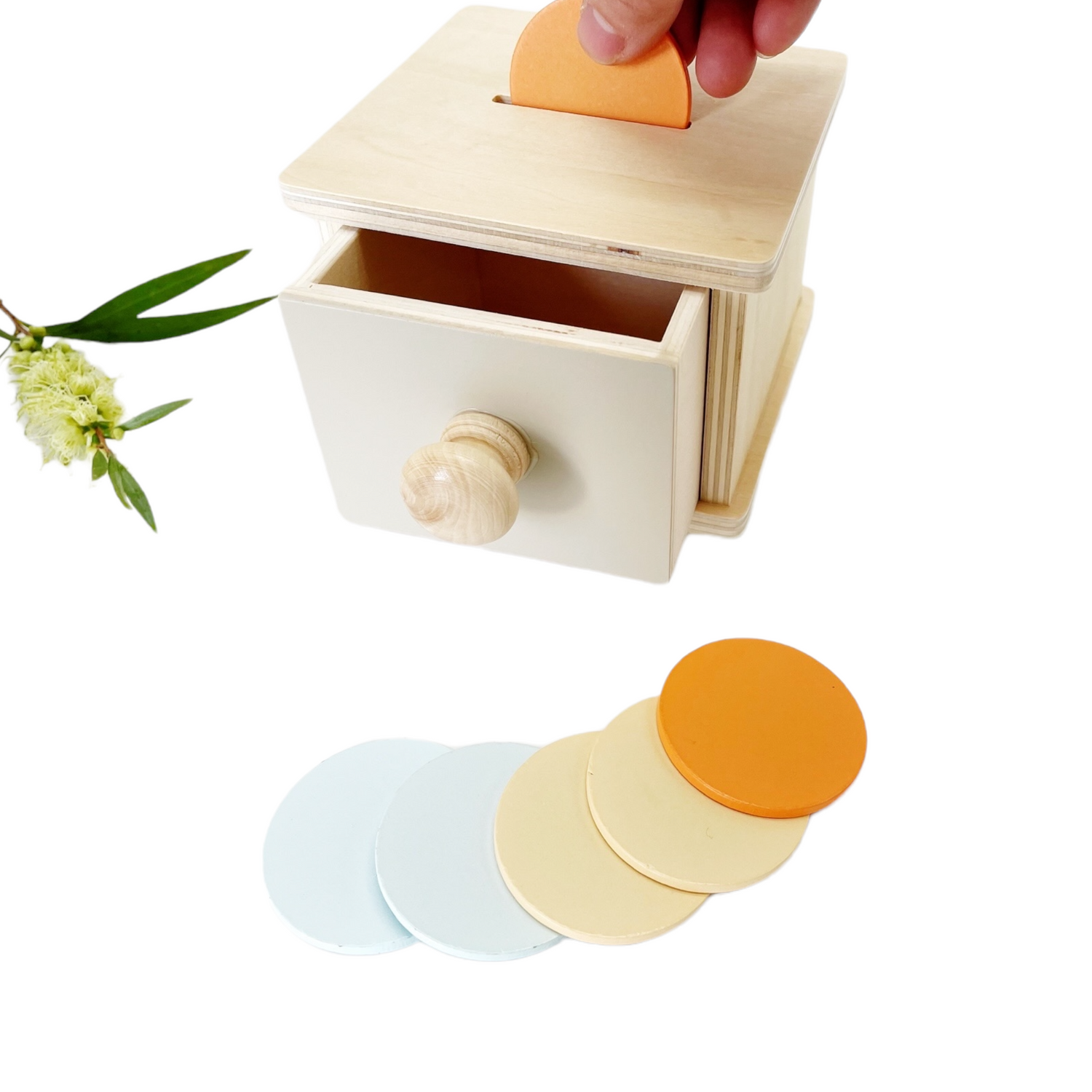 Montessori Pastel Drawer Box and Coins / Drawer and Ball - HAPPY GUMNUT