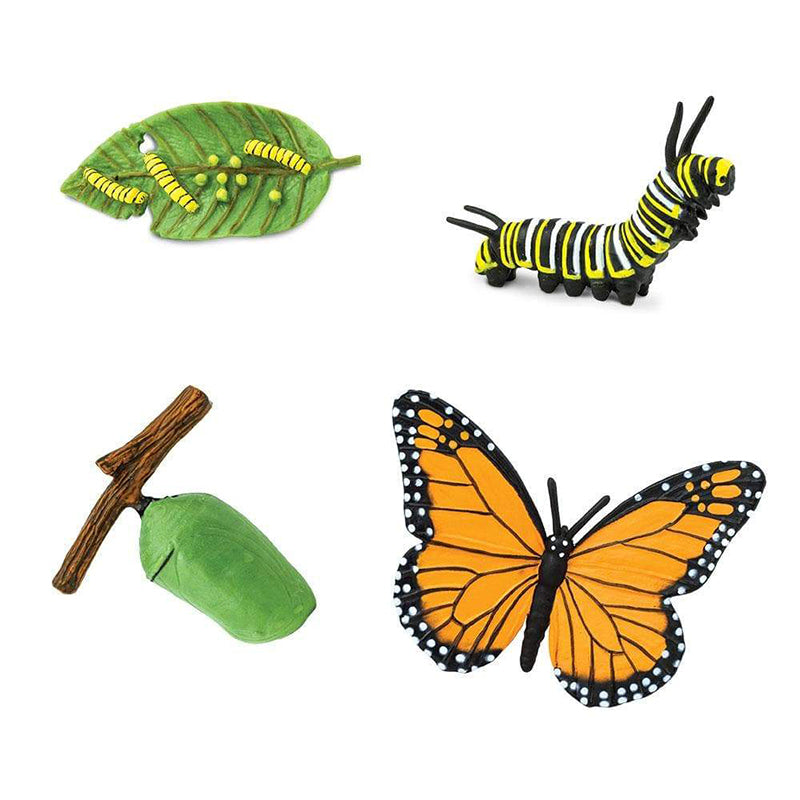 Animal Life Cycle Butterfly - HAPPY GUMNUT