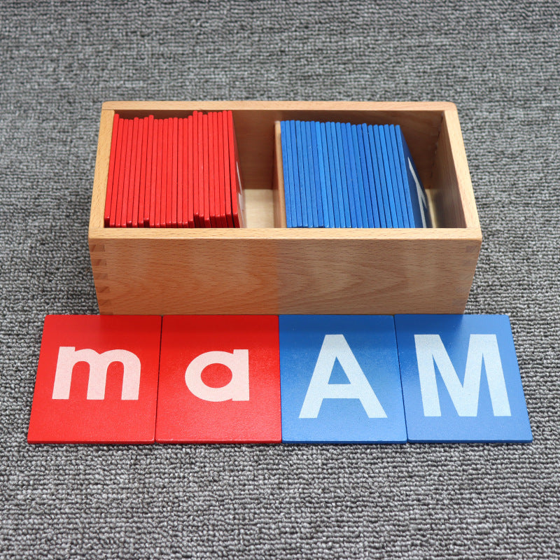 Sandpaper Letters Set Large Montessori Sandpaper Alphabet Set Upper and Lower Cases – HAPPY ...