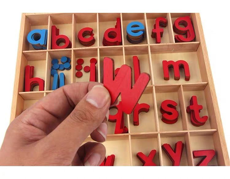 Premium Montessori Moveable Alphabet Box With Spelling Mat 155 Alphabets included. - HAPPY GUMNUT
