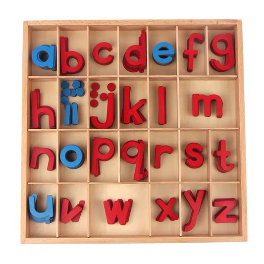 Premium Montessori Moveable Alphabet Box With Spelling Mat 155 Alphabets included. - HAPPY GUMNUT
