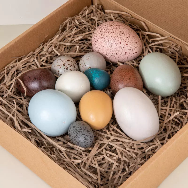 Wooden Eggs Bird Eggs - HAPPY GUMNUT