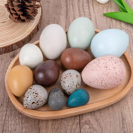 Wooden Eggs Bird Eggs - HAPPY GUMNUT