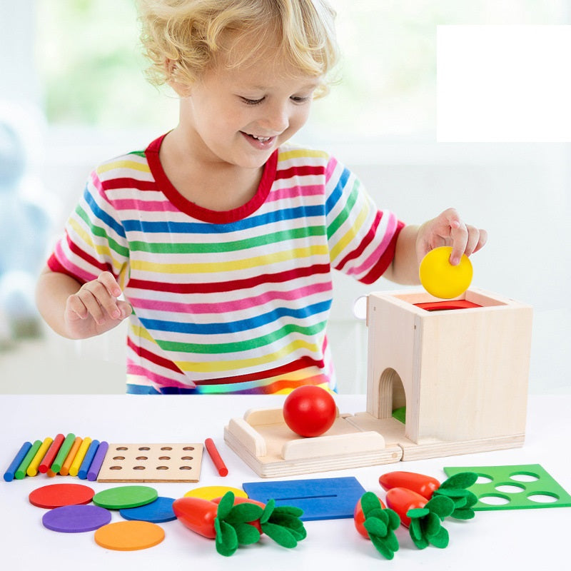 Montessori 4 in 1 Interchangeable Activity Box Kids Geometric Sensory Fine Motor Skill Activity Toy Object Permanence Box ! - HAPPY GUMNUT