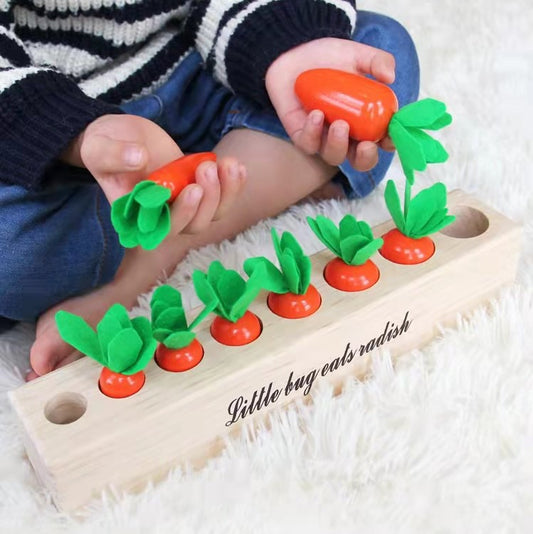 Montessori Medium Carrot Cylinders - HAPPY GUMNUT