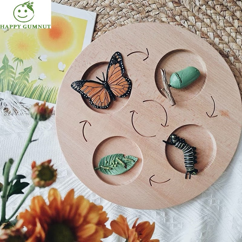Wooden Animal Life Cycle Discovery Board Handmade Sorting Tray - HAPPY GUMNUT