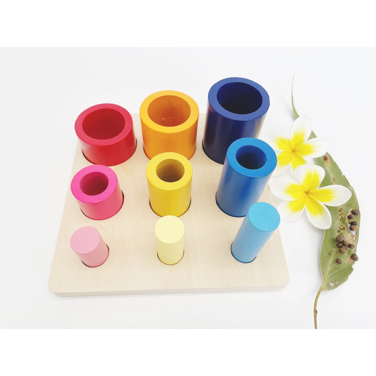 Montessori cylinders and circles Activity Board - HAPPY GUMNUT