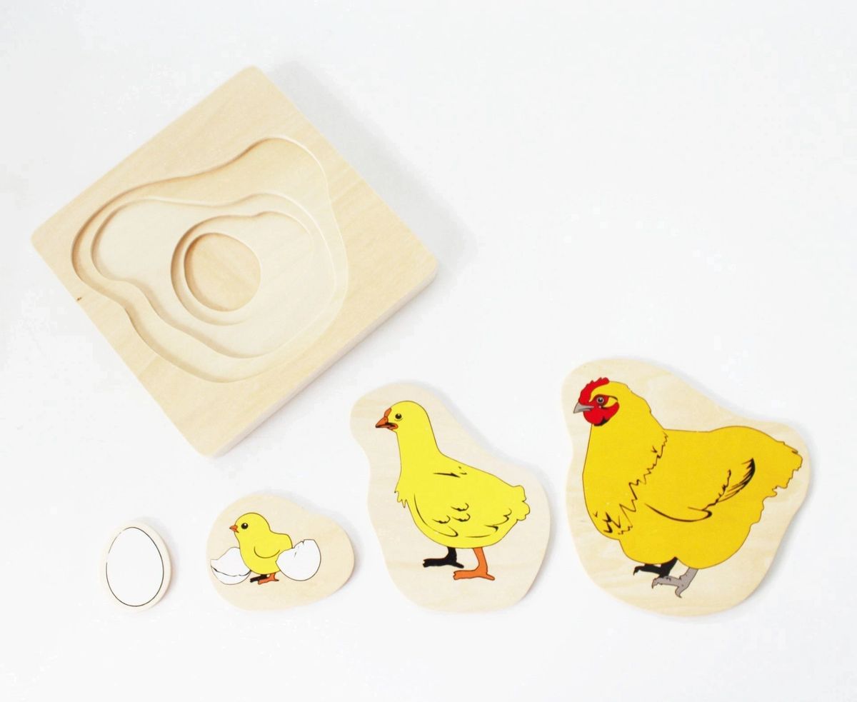 Montessori Multilayered Chicken Lifecycle Puzzle - HAPPY GUMNUT