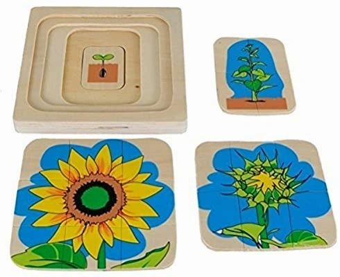 Montessori Sunflower Lifecycle Puzzle - HAPPY GUMNUT