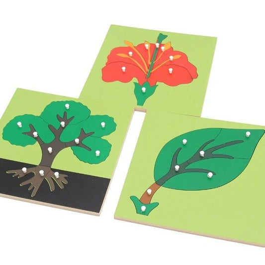 Montessori Plant Puzzles Tree Leaf Flower - HAPPY GUMNUT